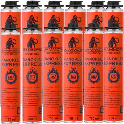 Pianoklej Express 60 SEKUND 750 ml